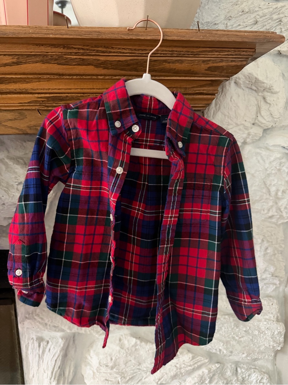 Janie and Jack Red & Blue Plaid Buttoni-Down Shirt
